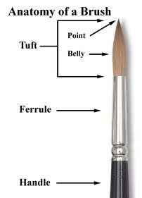 AnatomyOfABrush