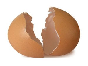 Eggshell
